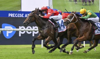 NE Manion Cup Winner Mr Monaco Races into 2026 Sydney Cup Favouritism