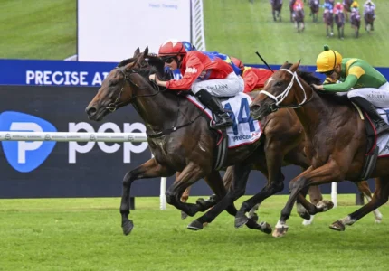 2026 NE Manion Cup winner Mr Monaco