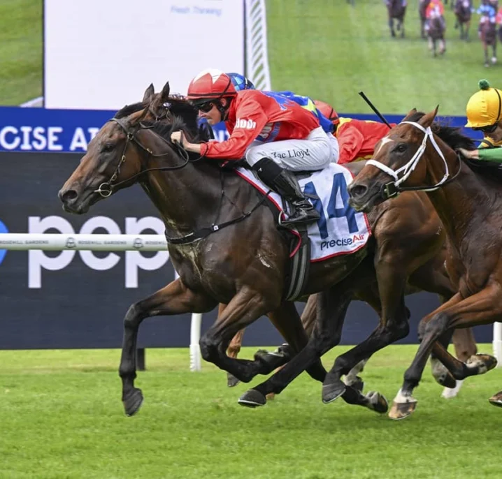 NE Manion Cup Winner Mr Monaco Races into 2026 Sydney Cup Favouritism