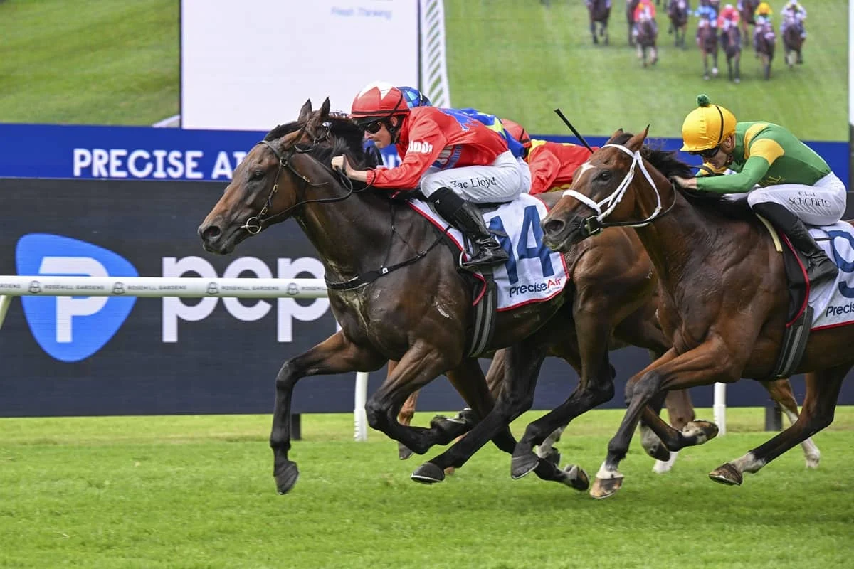 2026 NE Manion Cup winner Mr Monaco