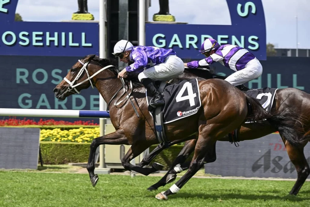 2026 Ranvet Stakes winner Aeliana 