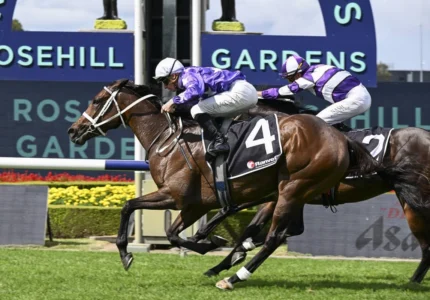 2026 Ranvet Stakes winner Aeliana