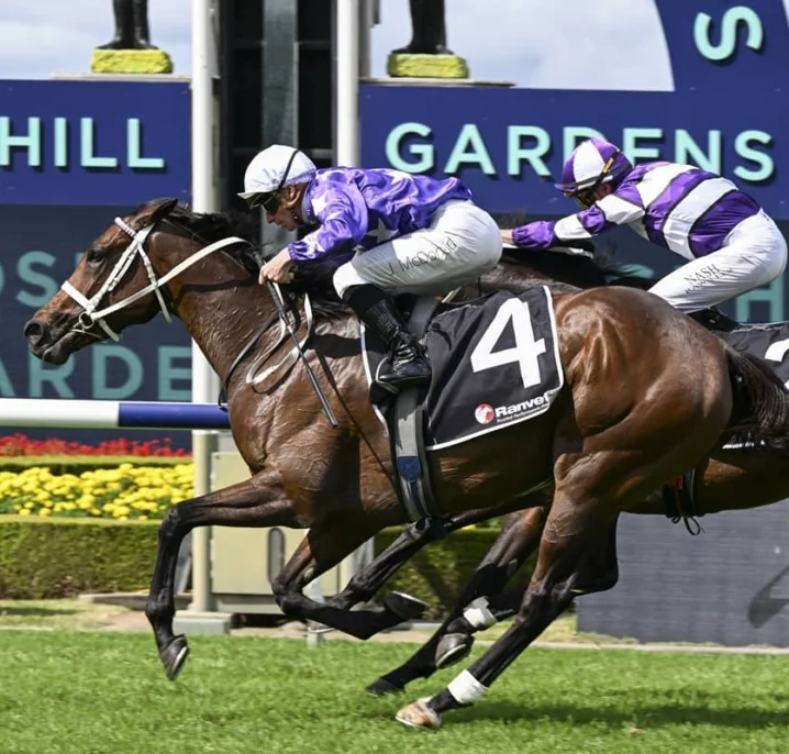 2026 Ranvet Stakes Results: McDonald Wins Aboard Aeliana