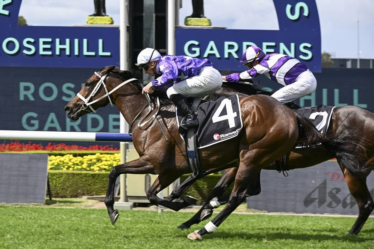 2026 Ranvet Stakes winner Aeliana