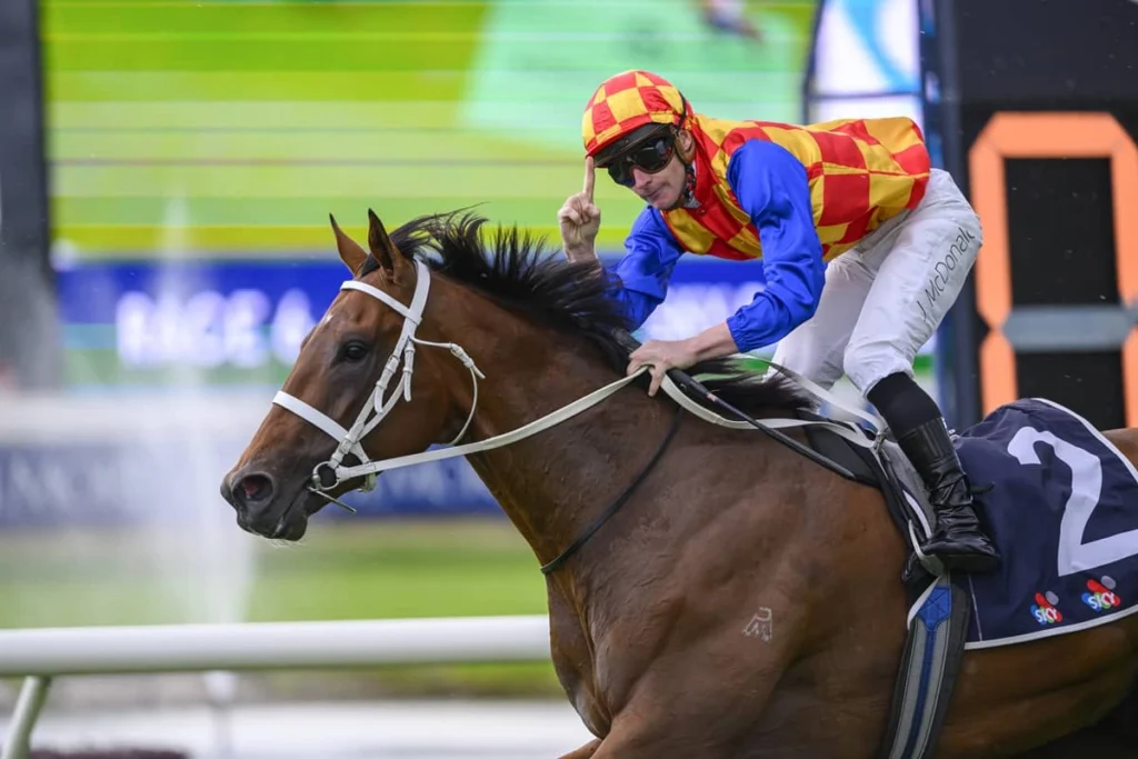 2026 Rosehill Guineas winner Autumn Boy