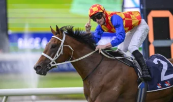 2026 Rosehill Guineas Winner Autumn Boy Hands McDonald Group 1 Record