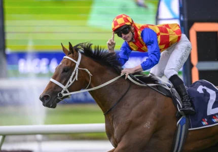 2026 Rosehill Guineas winner Autumn Boy
