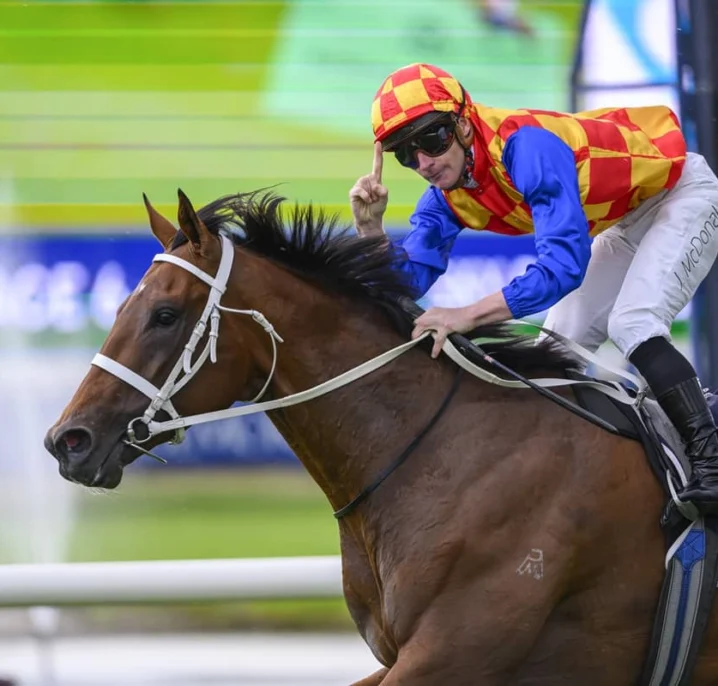 2026 Rosehill Guineas Winner Autumn Boy Hands McDonald Group 1 Record