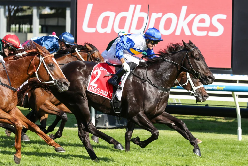 2026 William Reid Stakes winner Jigsaw