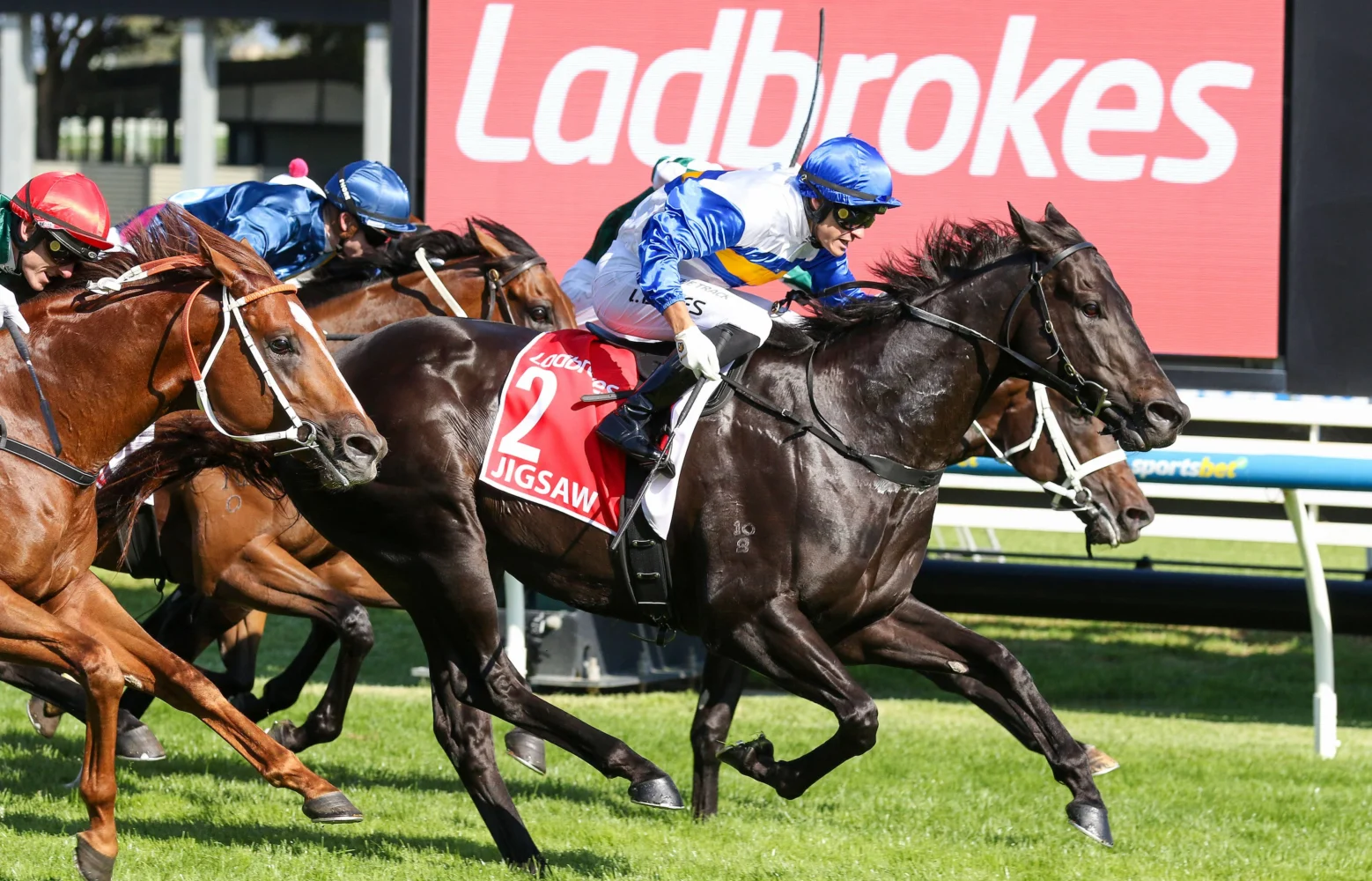 2026 William Reid Stakes winner Jigsaw