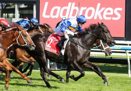 2026 William Reid Stakes winner Jigsaw