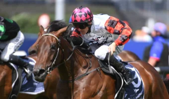 Ohope Wins Leads Vinery Stud Stakes 2026 Field & Odds