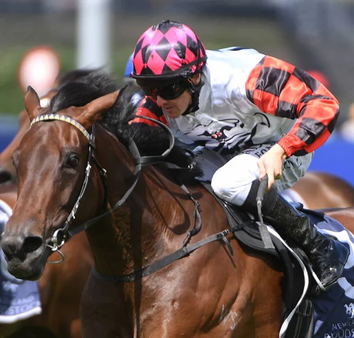 Ohope Wins Leads Vinery Stud Stakes 2026 Field & Odds