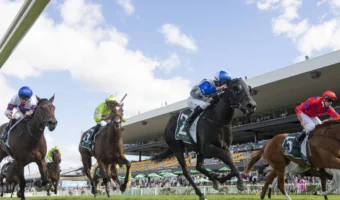 2026 Vinery Stud Stakes Results: Belle Cheval Narrowly Salutes