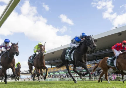 2026 Vinery Stud Stakes winner Belle Cheval