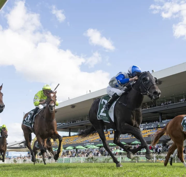 2026 Vinery Stud Stakes Results: Belle Cheval Narrowly Salutes