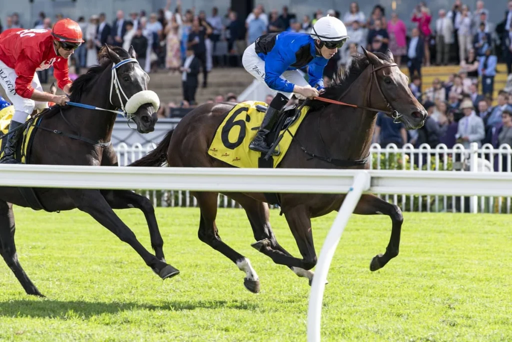 2026 Emancipation Stakes winner Idle Flyer