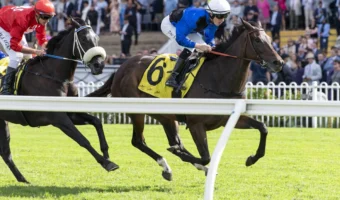 Emancipation Winner Idle Flyer Firms in 2026 Queen of the Turf Betting