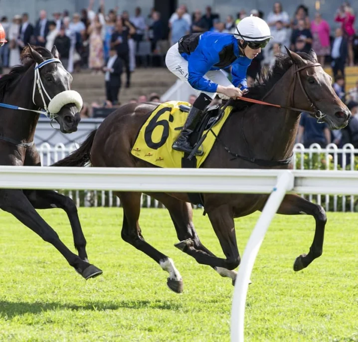 Emancipation Winner Idle Flyer Firms in 2026 Queen of the Turf Betting