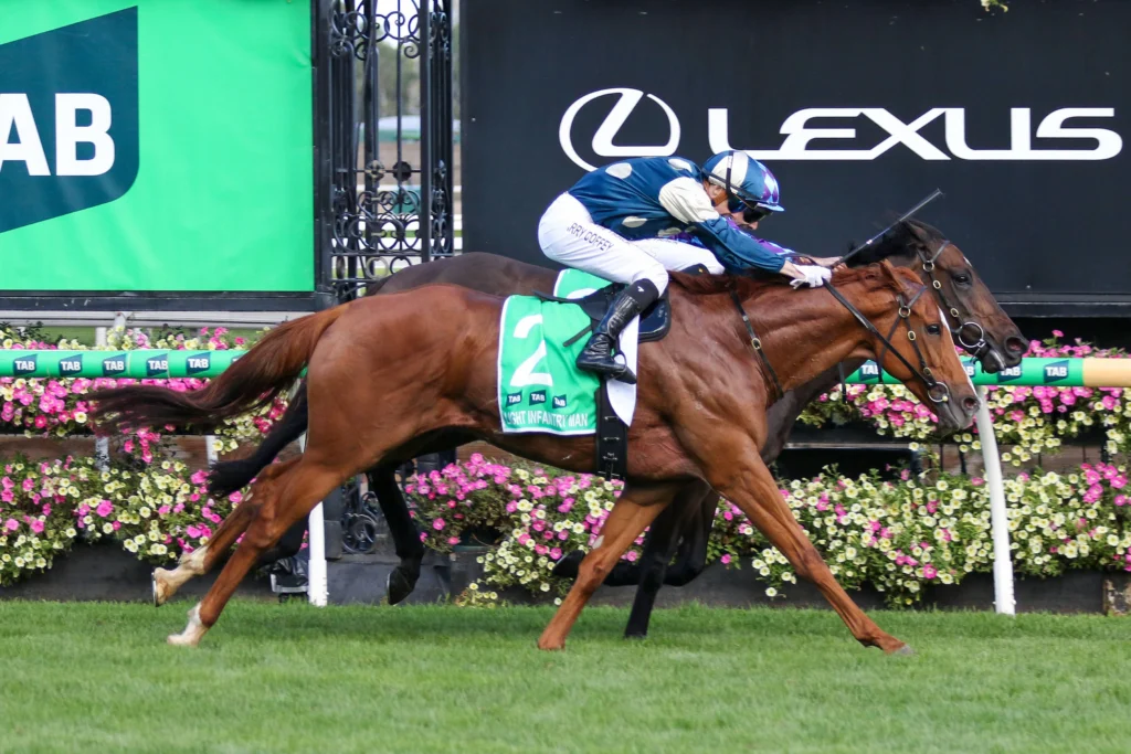 2026 Australian Cup winner Light Infantry Man