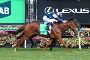 2026 Australian Cup winner Light Infantry Man