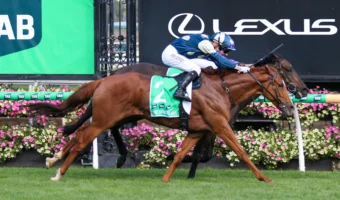 2026 Australian Cup Results: Light Infantry Man Goes Back-to-Back