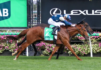 2026 Australian Cup winner Light Infantry Man