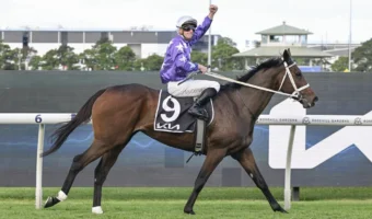 Tancred Stakes 2026 Winner Aeliana Salutes for Punters