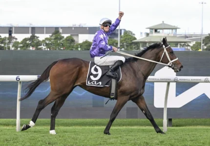 2026 Tancred Stakes winner Aeliana