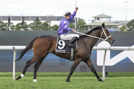 Tancred Stakes 2026 Winner Aeliana Salutes for Punters