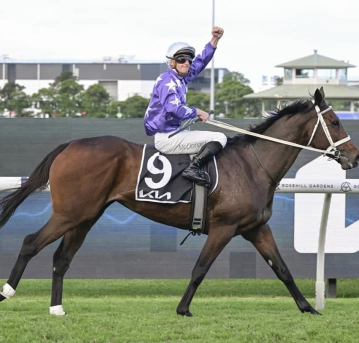 Tancred Stakes 2026 Winner Aeliana Salutes for Punters