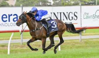 2026 Australian Derby Field & Betting Update: Green Spaces vs. Observer