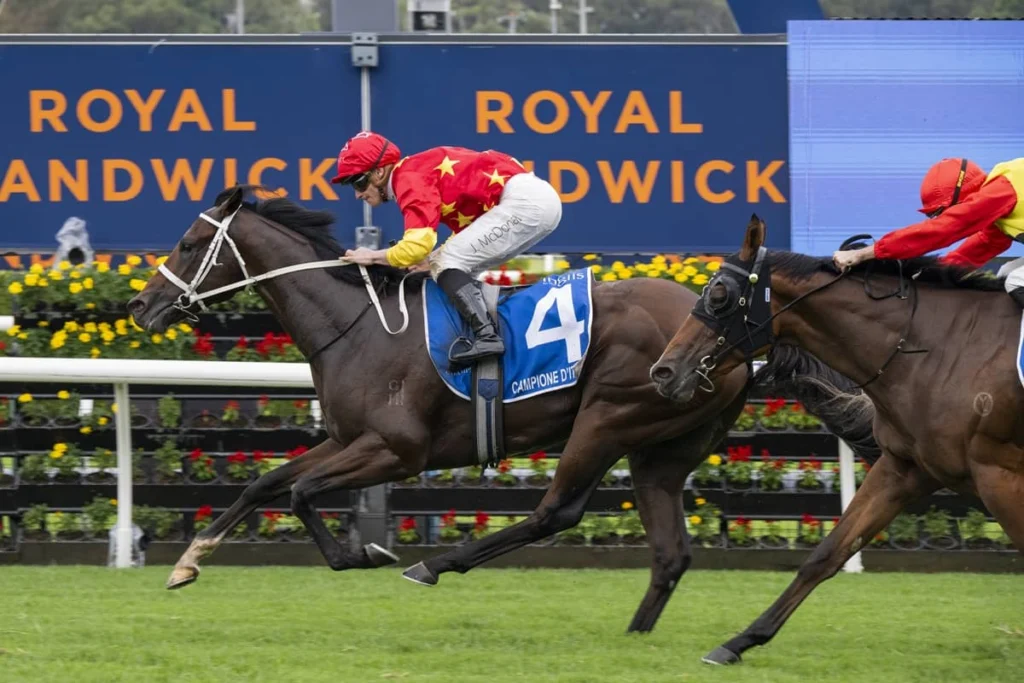 2026 Inglis Sires' winner Campione D'italia