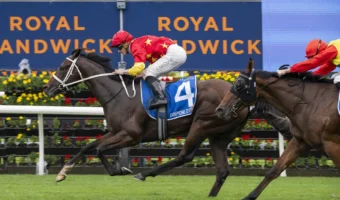 2026 Inglis Sires' Winner Campione D'italia Firms into Champagne Stakes Favouritism