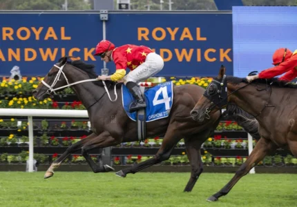 2026 Inglis Sires' winner Campione D'italia