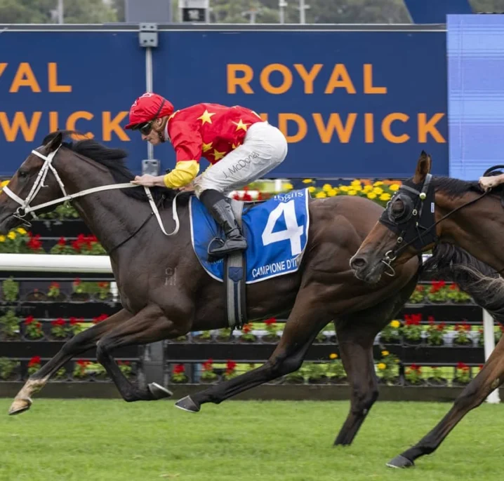 2026 Inglis Sires’ Winner Campione D’italia Firms into Champagne Stakes Favouritism
