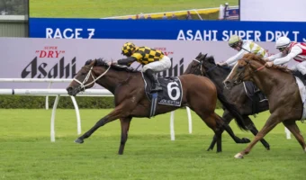 2026 TJ Smith Stakes Results: Joliestar Wins Her 5th Group 1
