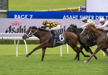 2026 TJ Smith Stakes winner Joliestar