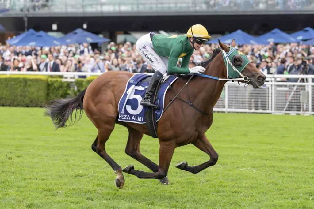 2026 Doncaster Mile winner Sheza Alibi