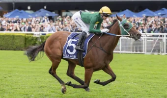 2026 Doncaster Mile Winner Sheza Alibi Beats Autumn Boy by 4 Lengths