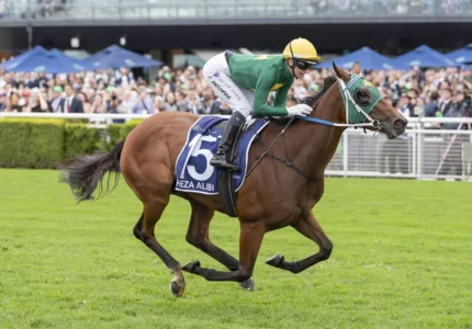 2026 Doncaster Mile winner Sheza Alibi