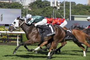 2026 Australian Oaks winner Ohope Wins