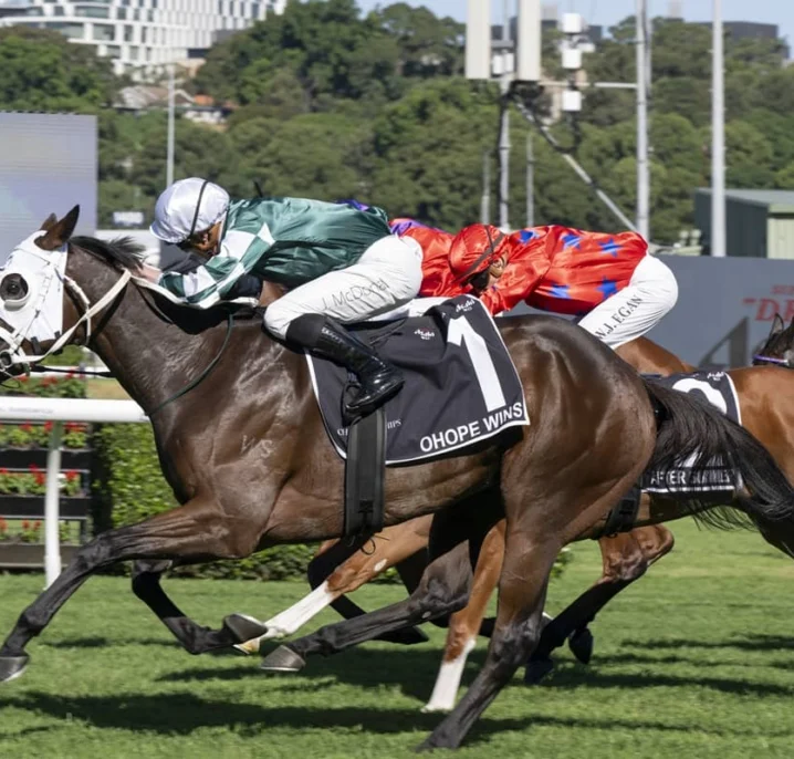 2026 Australian Oaks Results: Ohope Wins for the Punters
