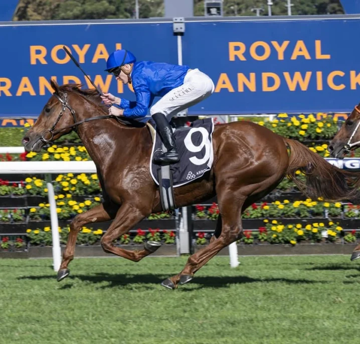 Concorde Stakes 2026 Field Preview, Tips & Best Bets