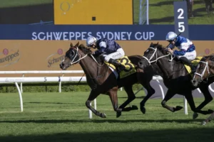 2026 Sydney Cup winner Changingoftheguard