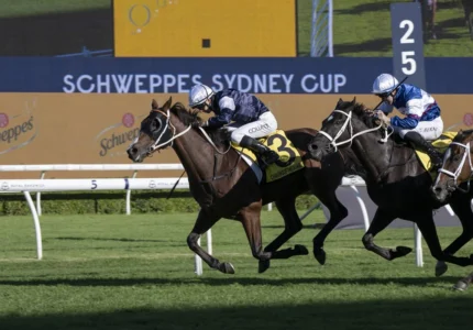 2026 Sydney Cup winner Changingoftheguard