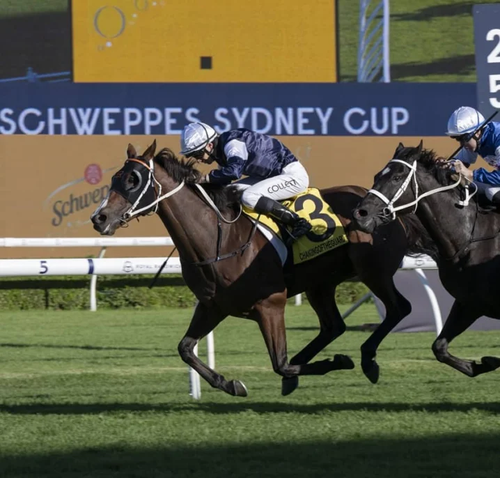 Sydney Cup 2026 Results: Changingoftheguard Wins at 50/1