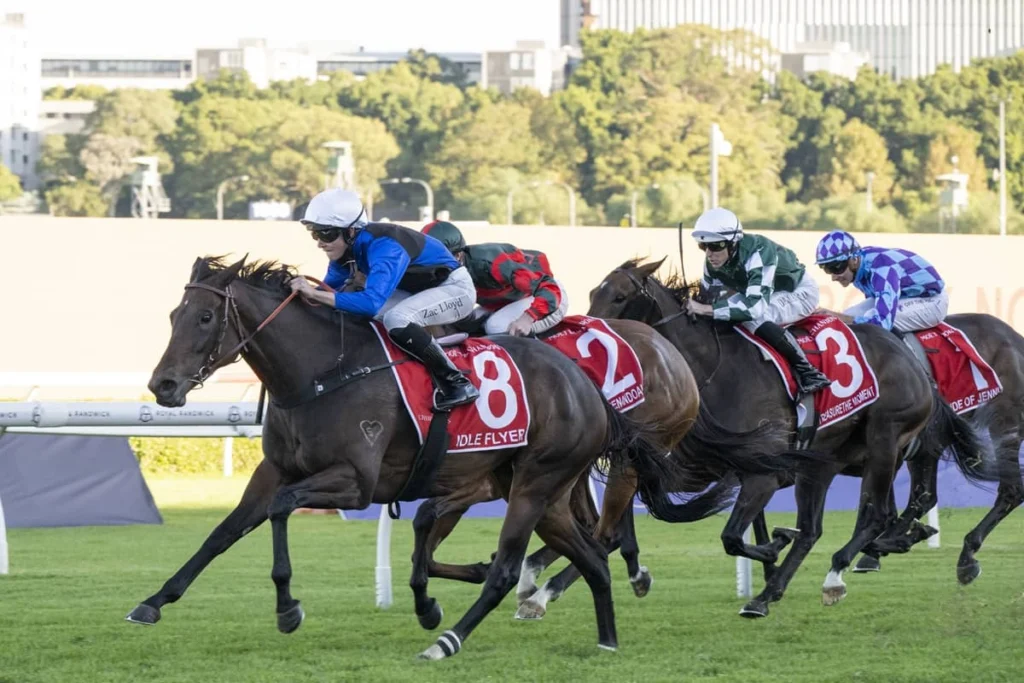 2026 Queen Of The Turf Stakes winner Idle Flyer