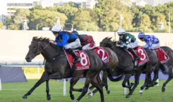 2026 Queen Of The Turf Stakes Winner Idle Flyer Breaks Group 1 Maiden