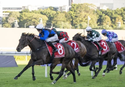 2026 Queen Of The Turf Stakes winner Idle Flyer